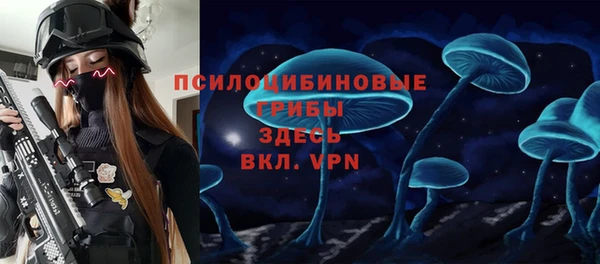 амф Новодвинск