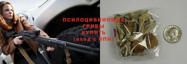2c-b Новозыбков