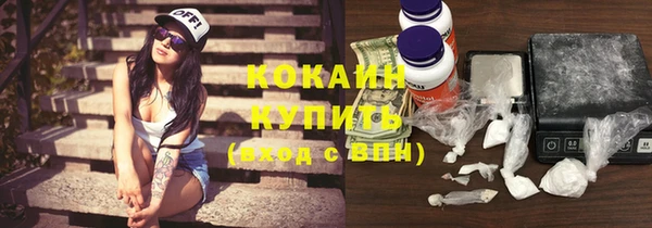 амф Новодвинск
