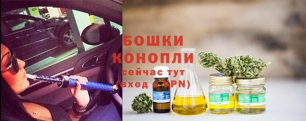 2c-b Новозыбков